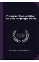 Preliminary Implementation of a Ratio Image Depth Sensor
