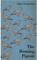 The Homing Pigeon