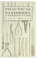 Practical Taxidermy - A Working Guide