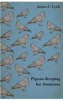 Pigeon-Keeping for Amateurs - A Complete and Concise Guide to the Amateur Breeder of Domestic and Fancy Pigeons