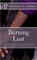 Burning Lust: A Christian Guide to understand and help those struggling with Homosexuality.