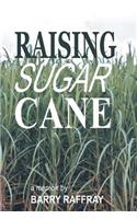 Raising Sugar Cane