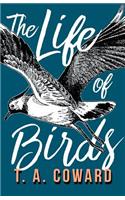 Life of Birds