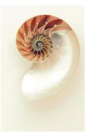Nautilus Shell Journal: 150 page lined notebook/diary