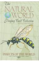 Insects of the World
