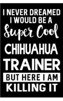 I Never Dreamed I Would Be A Super Cool Chihuahua Trainer But Here I Am Killing It