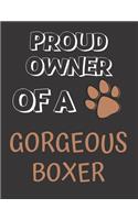 Proud Owner of a Gorgeous Boxer