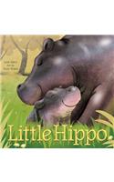 Little Hippo