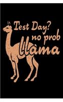 Test Day? No Prob Llama