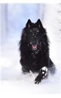 Belgian Shepherd Dog Groenendael Standing in the Snow Journal