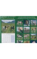 Horses & Ponies 2015 Wall Calendar 12x12