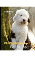 Old English Sheepdog - Live Love Dogs!: Composition Notebook for Dog Lovers