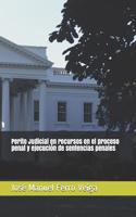 Perito Judicial En Recursos En El Proceso Penal Y Ejecución de Sentencias Penales
