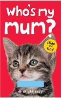 Bright Baby Slide & Find - Who's My Mum?