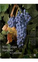 Wine Grape Varieties in California