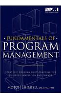 Fundamentals of Program Management: Strategic Program Bootstrapping for Business Innovation and Change