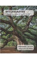 ECCLESIASTES Verse-by-verse lines for notes
