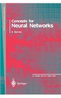 Concepts for Neural Networks