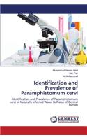 Identification and Prevalence of Paramphistomum Cervi