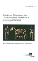 Funde Und Befunde Aus Dem Schachtbrunnen Im Hamam III in Ayasuluk/Ephesos