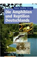 Die Amphibien Und Reptilien Deutschlands
