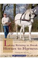 Long Reining to Break Horses to Harness