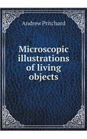Microscopic illustrations of living objects