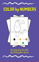 Color By Numbers: Activity Book for Children, 30 COLOR Pages, Ages 4-8. Great way to have fun while learning numbers! 30 Pages packed full of fun. Wonderful Gift for 