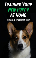 Training Your New Puppy At Home: Secrets To Success In A Week: Tips For First Week Living With Your Puppy