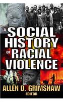 A Social History of Radical Violence