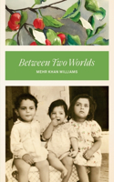 Between Two Worlds
