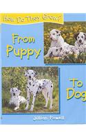 How Do They Grow: Puppy To Dog