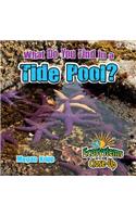 What Do You Find in a Tide Pool?: (Ecosystems Close-Up)