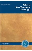 What Is New Testament Theology?