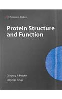 Protein Structure and Function