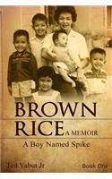 Brown Rice, a memoir: Book One: A Boy Named Spike