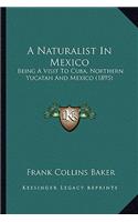 A Naturalist In Mexico