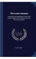 The Lower Amazon