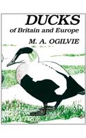 Ducks of Britain and Europe