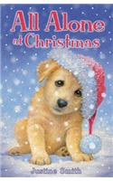 All Alone at Christmas
