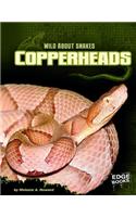 Copperheads