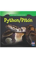 Python / Pitón