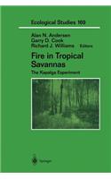 Fire in Tropical Savannas