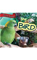 My Bird