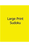 Large Print Sudoku