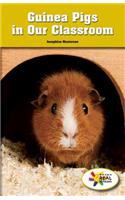 Guinea Pigs in Our Classroom: (Rosen Real Readers: Stem and Steam Collection)