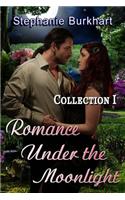 Romance Under the Moonlight