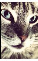 Journal Pages - Kitty Close Up: 6" x 9", Lined Journal, Durable Cover,150 Pages For Writing (Journal Notebook)