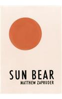 Sun Bear