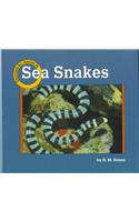 Sea Snakes